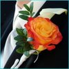 file_1044_m