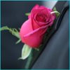 file_1046_m