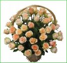 file_806_m