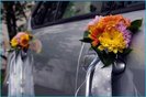 file_1802_m