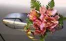 wedding car 3