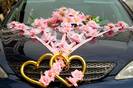 Wedding Car Decorations 13