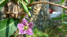 P1250203