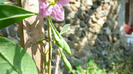 P1250204