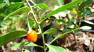 P1250206