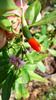 P1250208