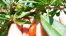 P1250211