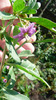 P1250214