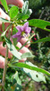 P1250215