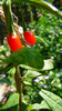 P1250217