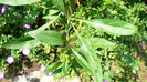 P1250220