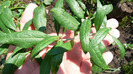 P1250221