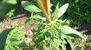P1250226