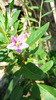 P1250229