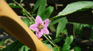 P1250231