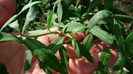 P1250240