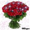 images (88)