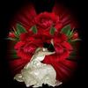 images (11)