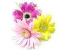 images (12)
