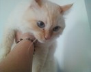 pufica la 10 ani
