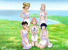hidden_village_maidens