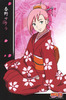 Sakura-Haruno-naruto-8721187-1005-1500