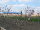 IMG_1376