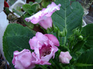 DSC07810