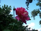 100_5435