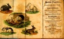 Crescătorul de iepuri - ghid 1821