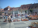 DSCN8731