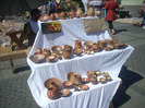 DSCN8749