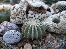 DSCF8792