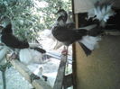 P04-09-11_19.44[1]