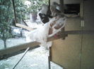 P04-09-11_19.43[2]