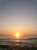 rasarit