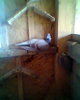 tanarul...relaxat