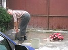 Nutuca la "valtoare"