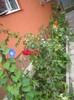 DSCN9819