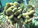 DSCN2436