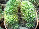 DSCN2438