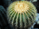 DSCN2439