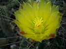 DSCN3034