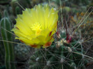 DSCN3035