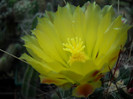 DSCN3036