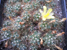 DSCN3038