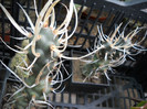DSCN3043