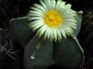 DSCN3049