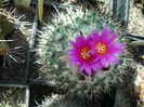 DSCN3058