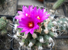 DSCN3251